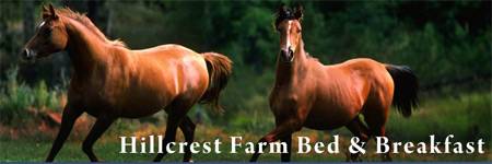 Hillcrest Farm B&B